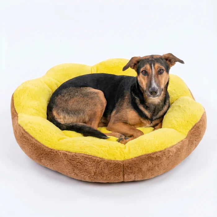 Sunshine Dog Bed