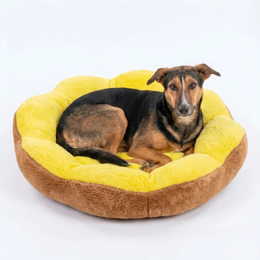 Sunshine Dog Bed