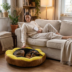 Sunshine Dog Bed