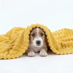 Emotional Support Blanket