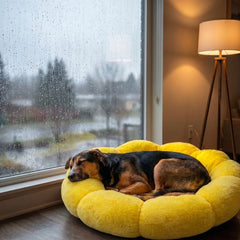 Emotional Support Dog Bed